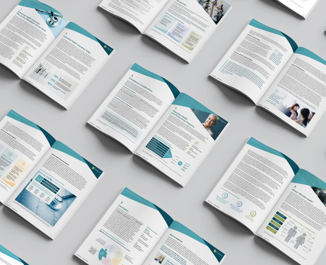 Health and Productivity White Paper Design